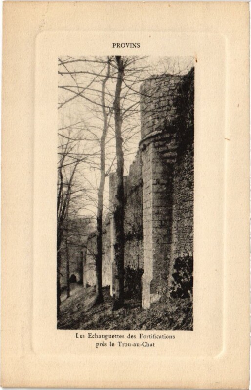 Carte postale ancienne Provins Les Echauguettes des Fortifications pres Trou-au-Chat à Provins