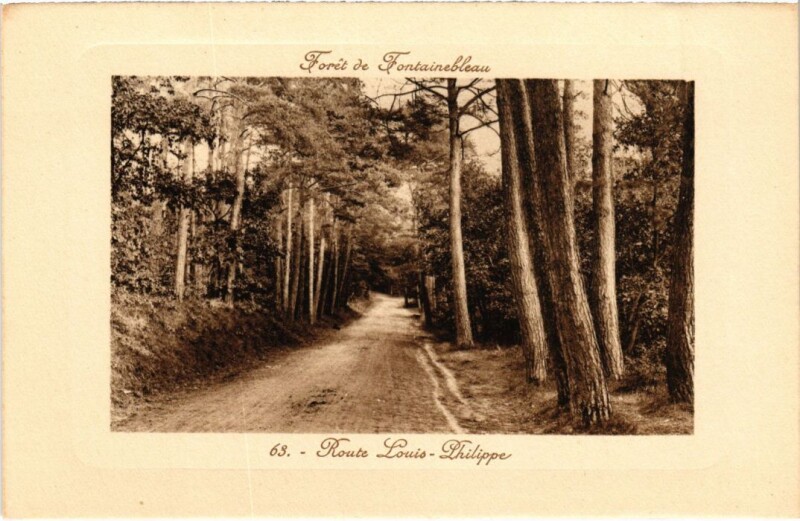Carte postale ancienne Foret de Fontainebleau - Route Louis-Philippe à Fontainebleau