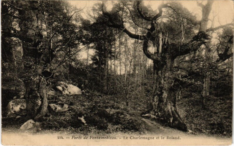 Carte postale ancienne Foret de Fontainebleau Charlemagne et le Roland à Fontainebleau