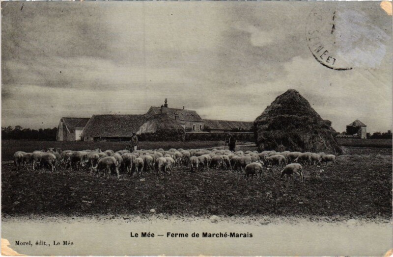 Carte postale ancienne Le Mee Ferme de Marche Marais