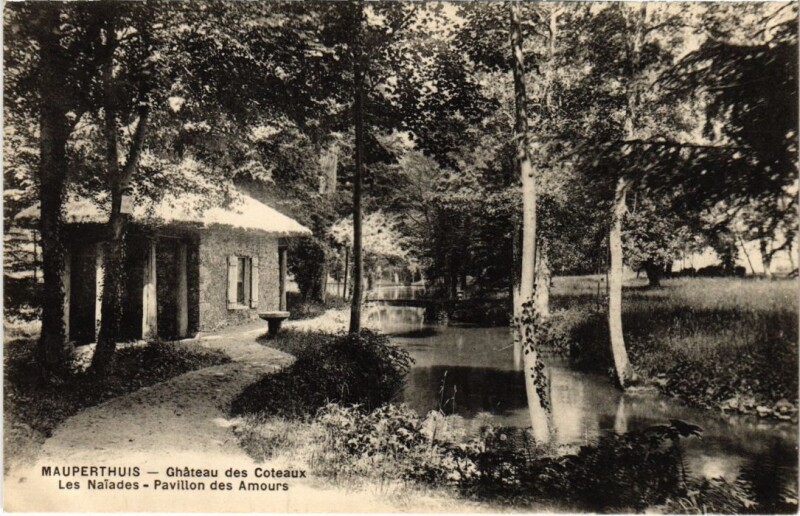 Carte postale ancienne Mauperthuis Chateau des Coteaux à Mauperthuis