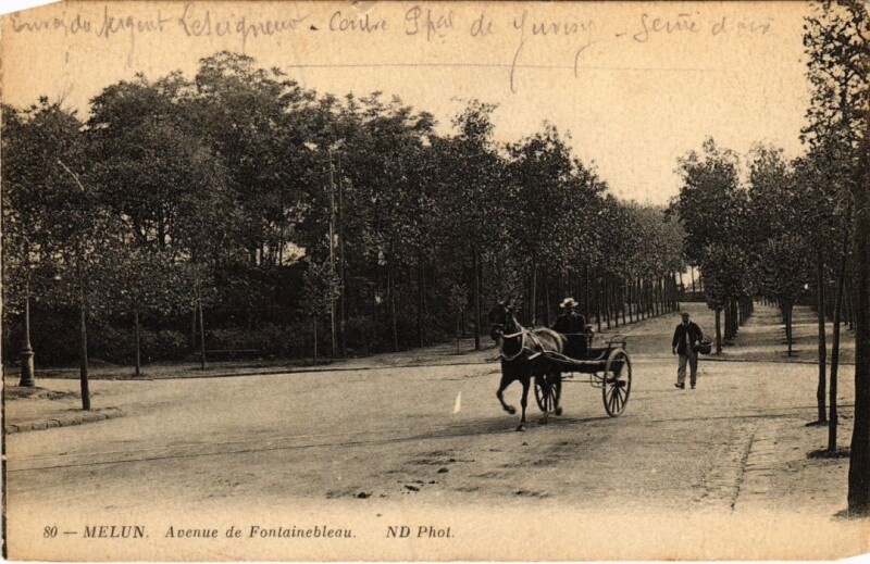 Carte postale ancienne Melun Avenue de Fontainebleau à Fontainebleau