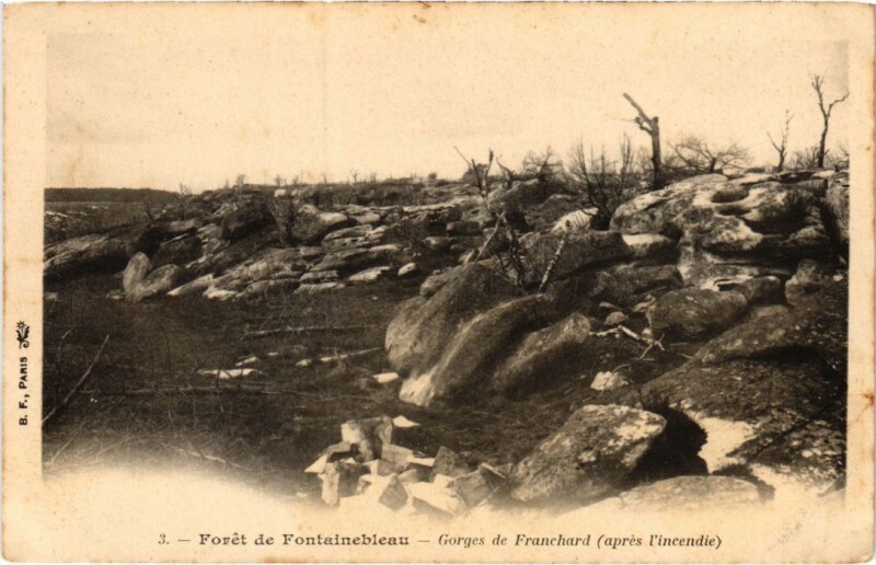 Carte postale ancienne Foret de Fontainebleau Gorges de Franchard à Fontainebleau