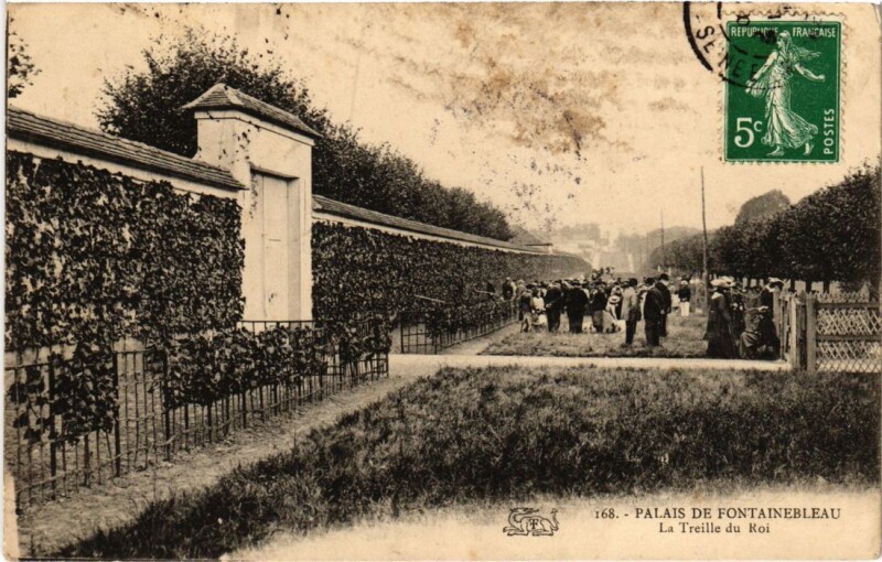 Carte postale ancienne Palais de Fontainebleau La Treille du Roi à Fontainebleau
