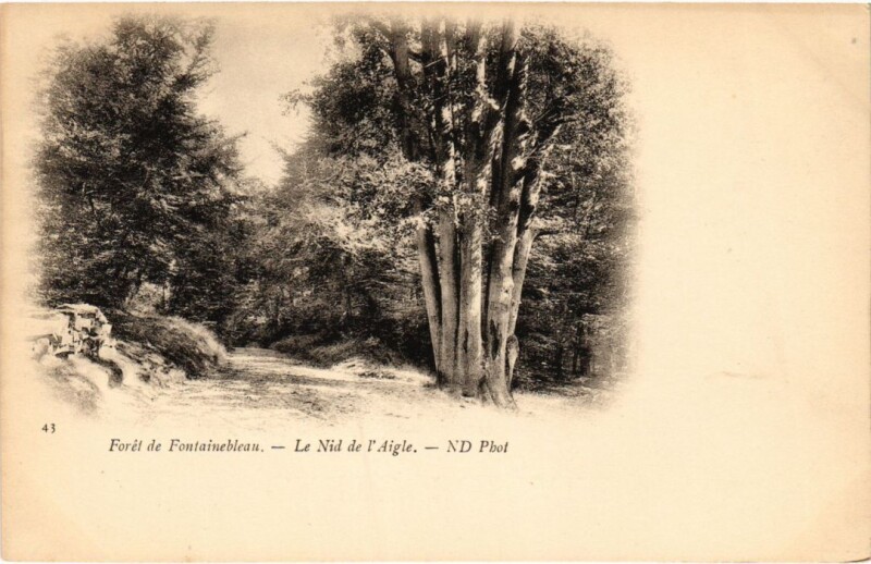 Carte postale ancienne Foret de Fontainebleau Le Nid de l'Aigle à Fontainebleau