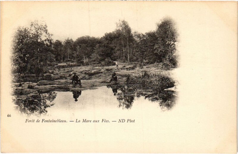 Carte postale ancienne Foret de Fontainebleau La Mare aux Fees à Fontainebleau