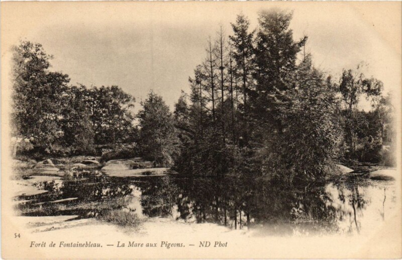 Carte postale ancienne Foret de Fontainebleau La Mare aux Pigeons à Fontainebleau