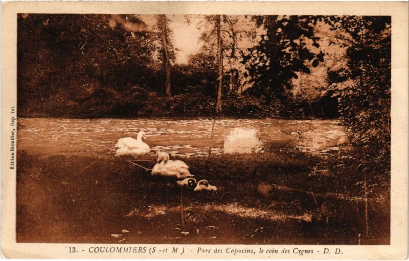 Carte postale ancienne Coulommiers Parc des Capucins le coin des Cygnes à Coulommiers