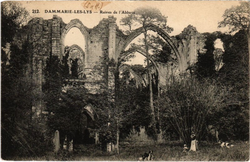 Carte postale ancienne Dammarie les Lys Ruines de l'Abbaye à Dammarie-les-Lys