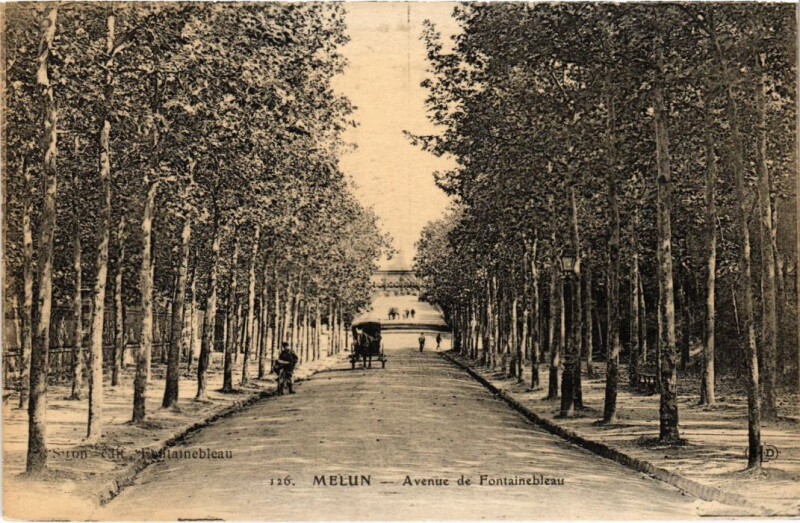 Carte postale ancienne Melun Avenue de Fontainebleau à Fontainebleau