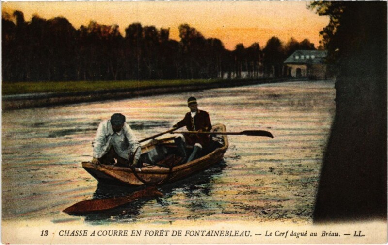 Carte postale ancienne Fontainebleau Le cerf dague au Breau à Fontainebleau