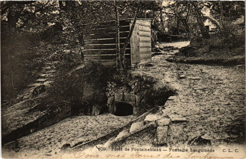 Carte postale ancienne Foret de Fontainebleau Fontaine Sanguinede à Fontainebleau