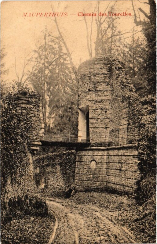 Carte postale ancienne Mauperthuis Chemin des Tourelles à Mauperthuis