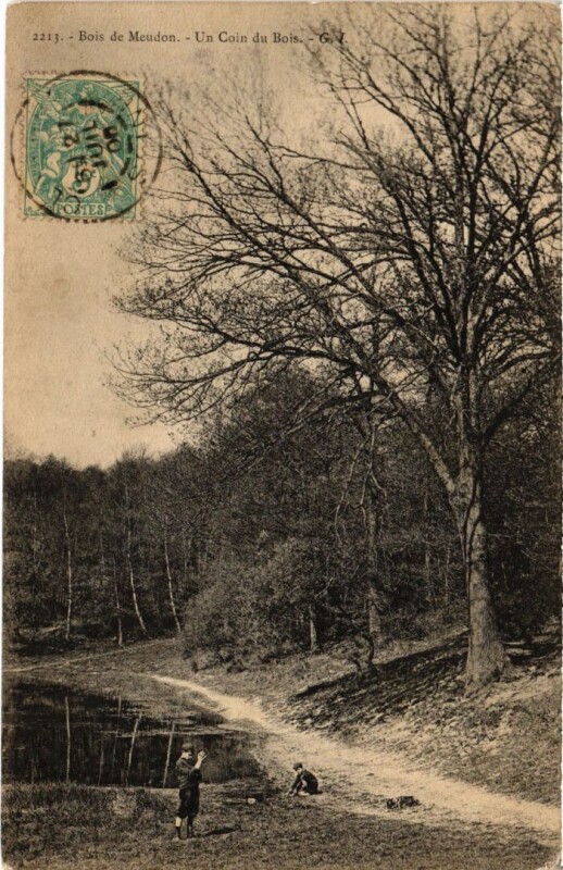 Carte postale ancienne Meudon un coin du Bois à Meudon
