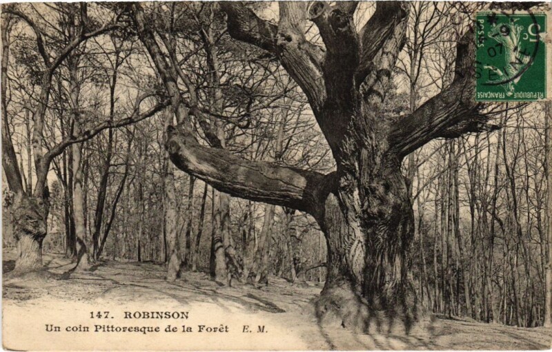 Carte postale ancienne Robinson Un coin Pittoresque de la Foret
