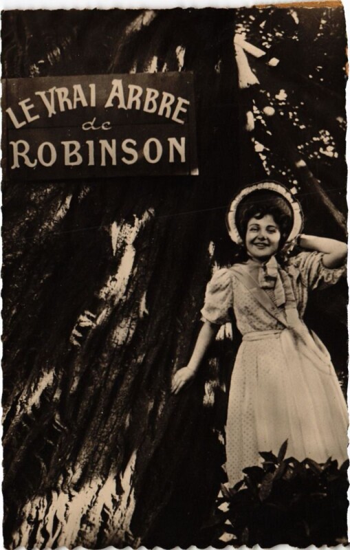 Carte postale ancienne Robinson souvenir