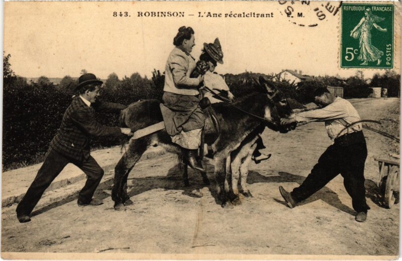 Carte postale ancienne Robinson Ane recalcitrant