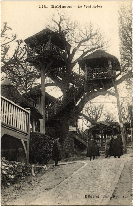 Carte postale ancienne Robinson Le Vrai Arbre