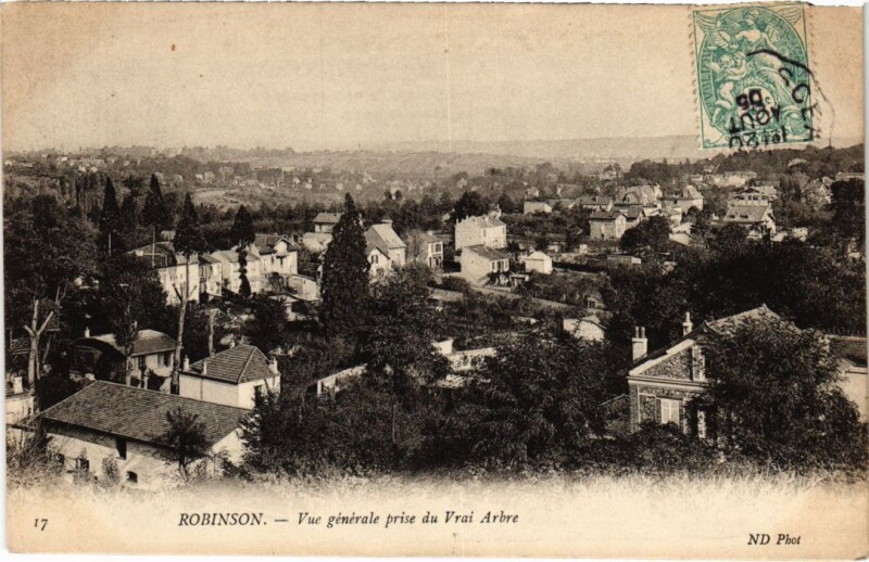 Carte postale ancienne Robinson vue generale