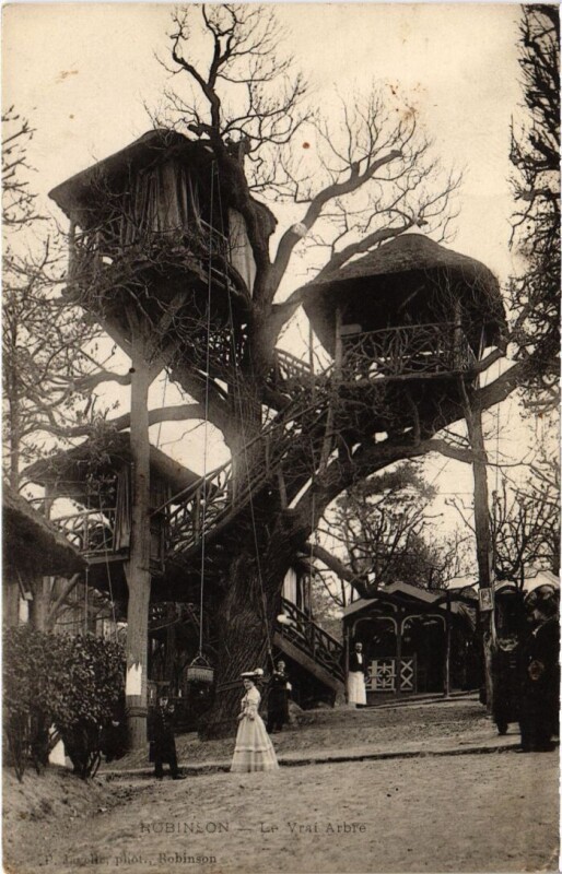 Carte postale ancienne Robinson Le Vrai Arbre