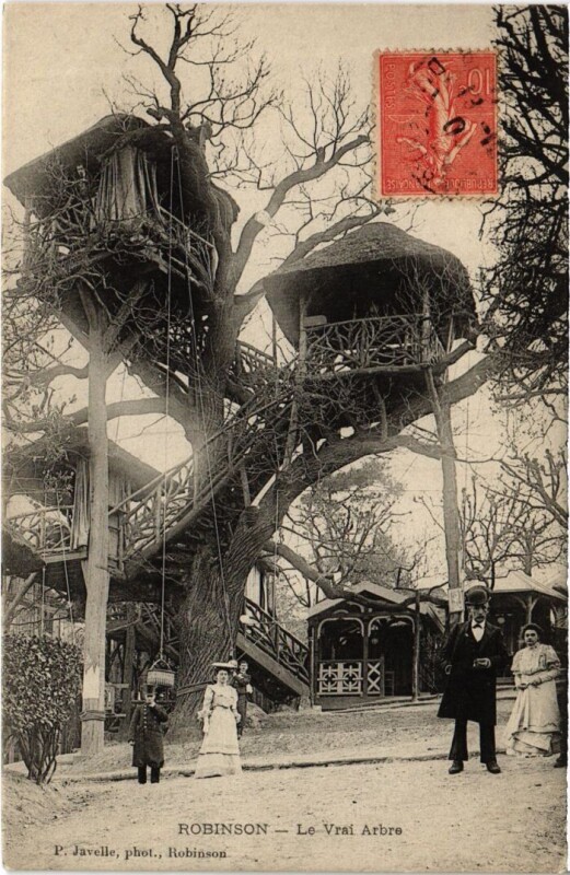 Carte postale ancienne Robinson Le Vrai Arbre