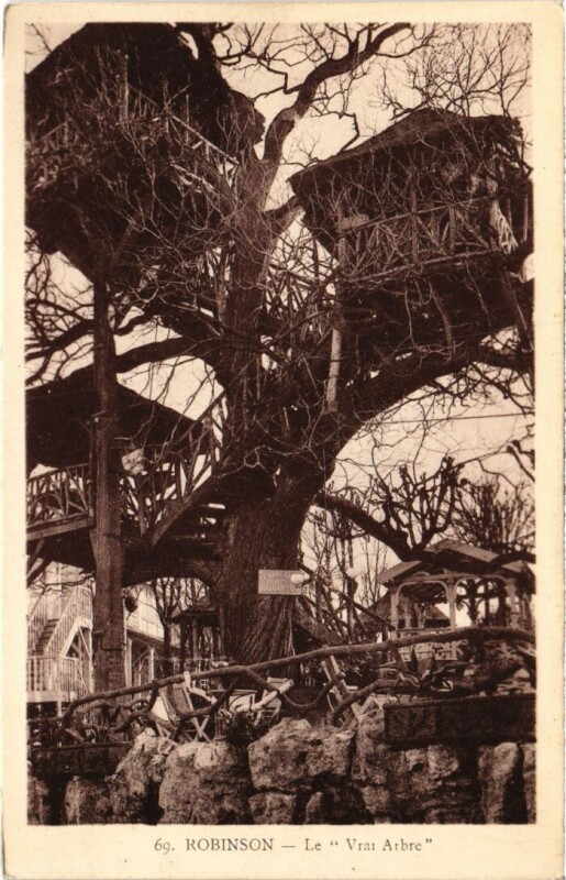 Carte postale ancienne Robinson Le Vrai Arbre