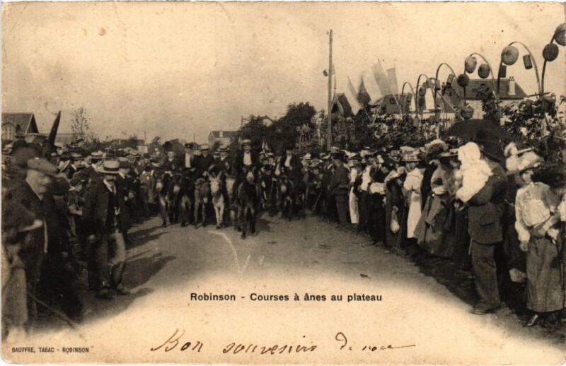 Carte postale ancienne Robinson Courses a anes au plateau