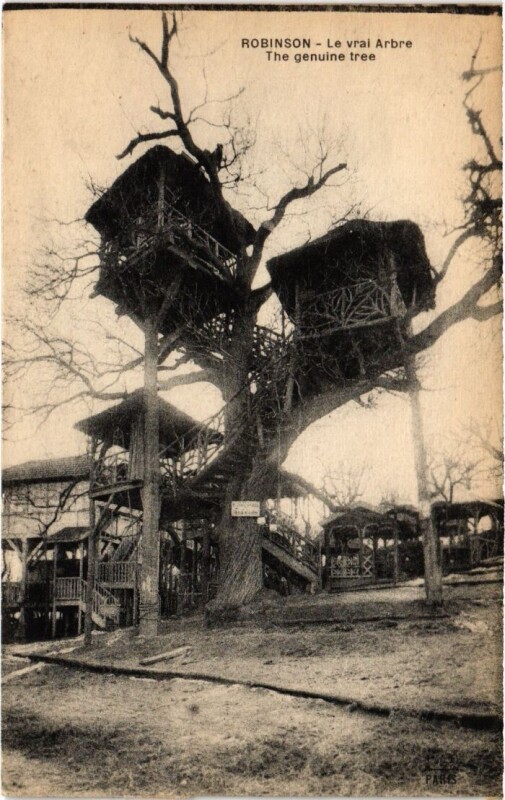 Carte postale ancienne Robinson Le Vrai Arbre