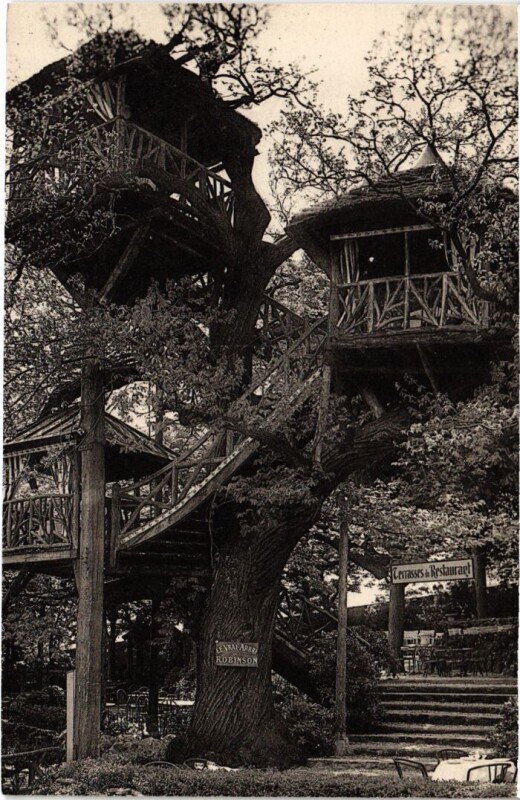 Carte postale ancienne Robinson Le Vrai Arbre
