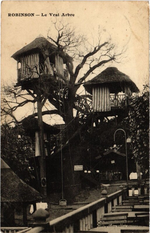 Carte postale ancienne Robinson Le Vrai Arbre