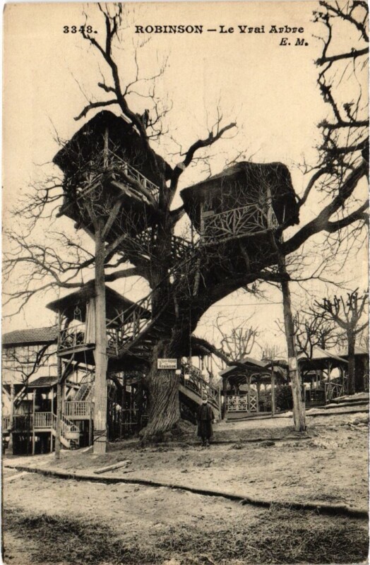 Carte postale ancienne Robinson Le Vrai Arbre