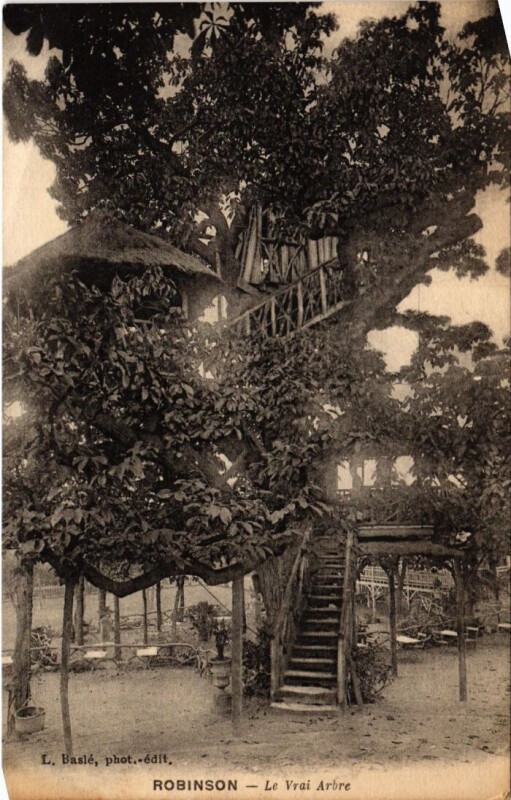 Carte postale ancienne Robinson Le Vrai Arbre