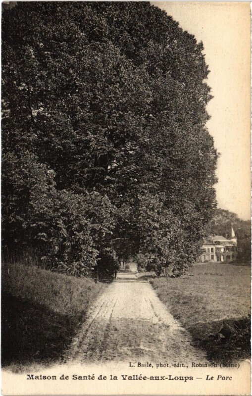 Carte postale ancienne Robinson Maison de Sante de la Vallee aux Loups