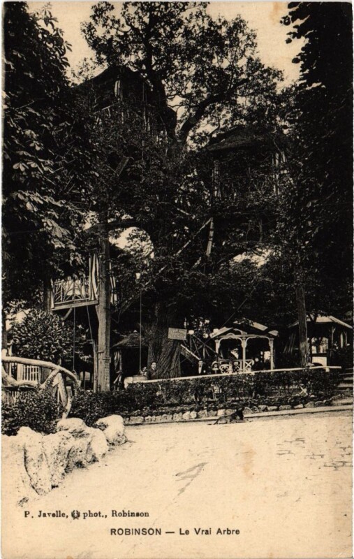 Carte postale ancienne Robinson Le Vral Arbre