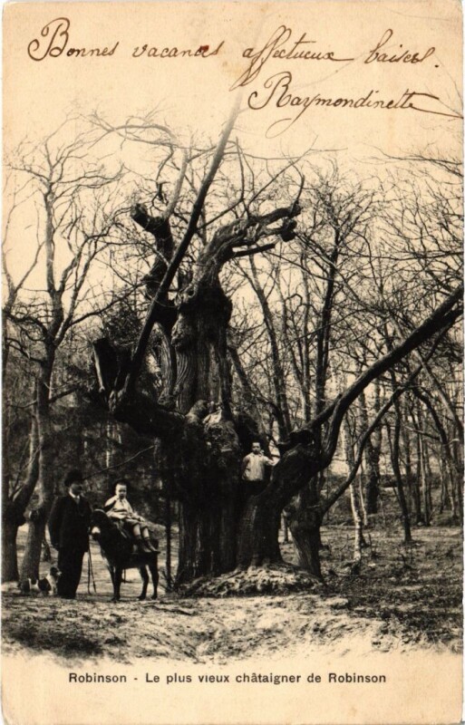 Carte postale ancienne Robinson Le plus vieux chataigner