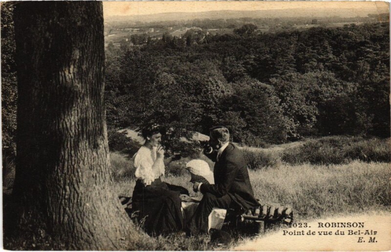 Carte postale ancienne Robinson Point de vue du Bel Air