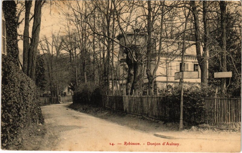 Carte postale ancienne Robinson Donjon d'Aulnay