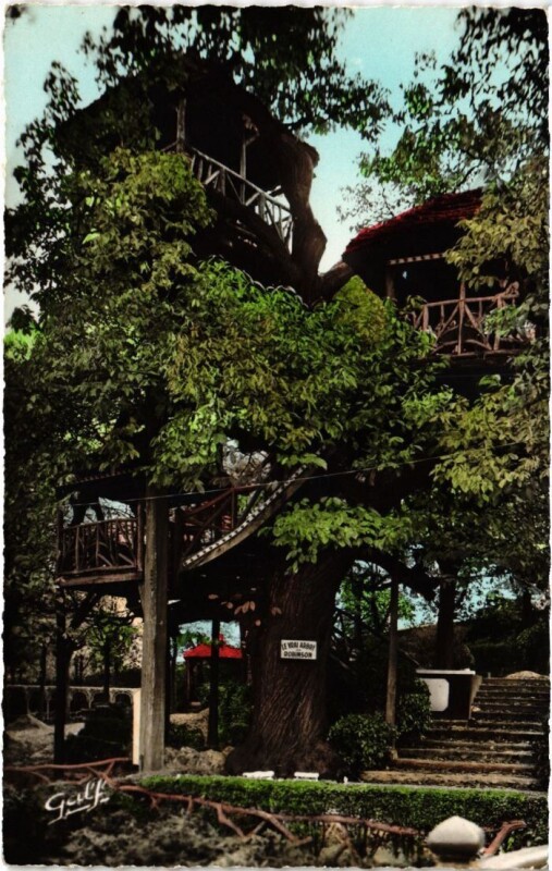 Carte postale ancienne Robinson Le Vrai Arbre