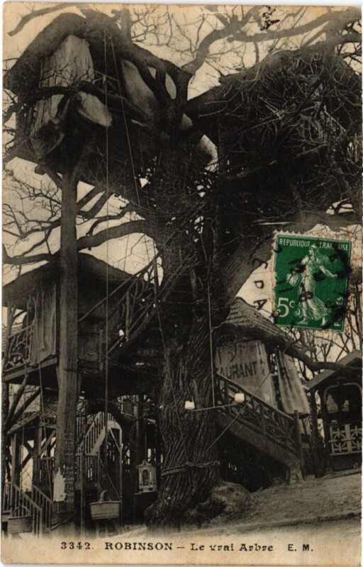 Carte postale ancienne Robinson Le Vrai Arbre