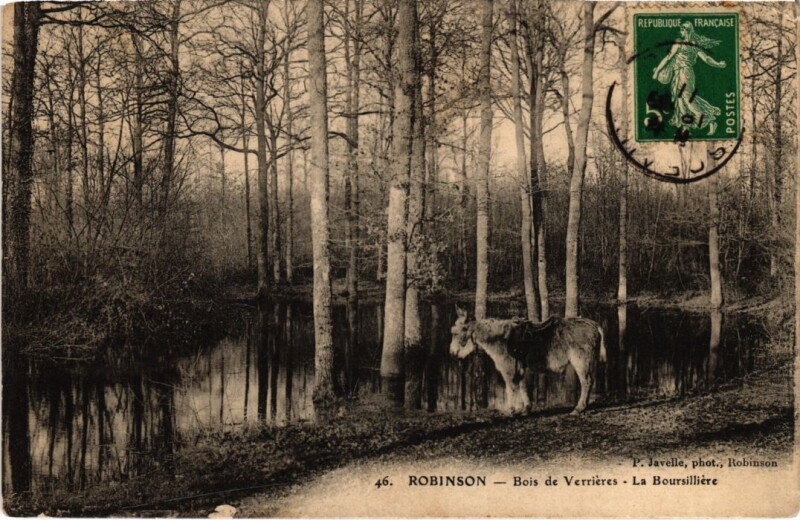 Carte postale ancienne Robinson Bois de Verrieres La Boursilliere