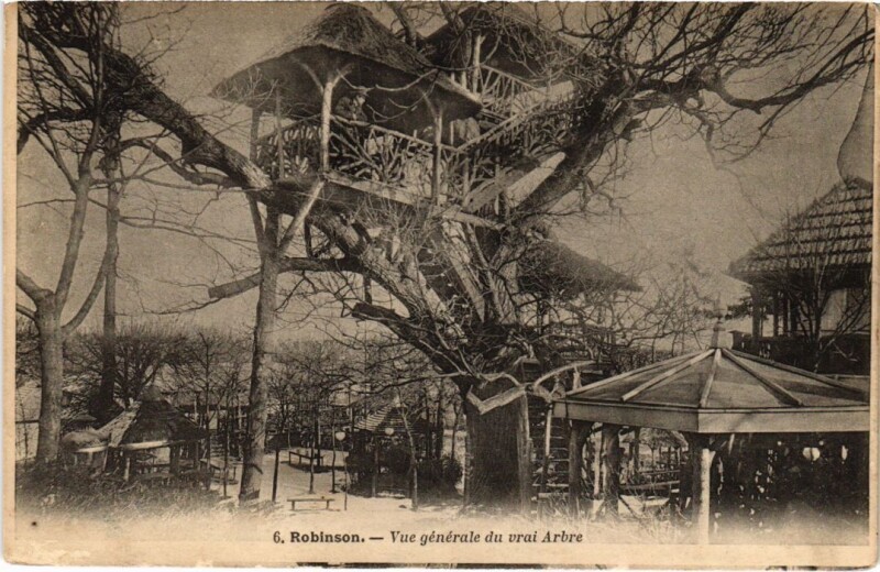 Carte postale ancienne Robinson vue generale du vrai Arbre