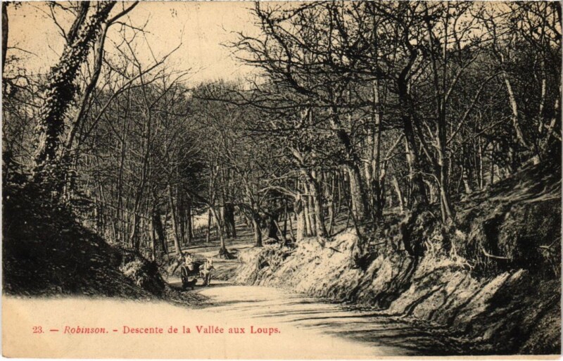 Carte postale ancienne Robinson Descente de la Vallee aux Loups