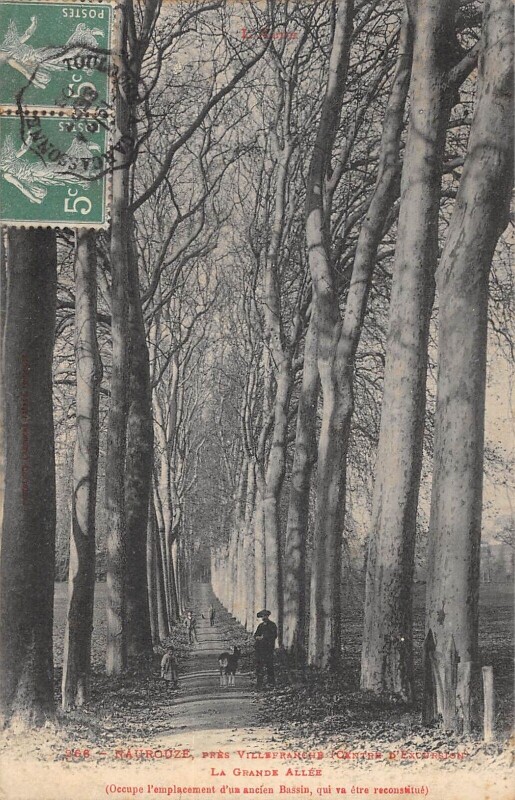 Carte postale ancienne Naurouze La Grande Allee
