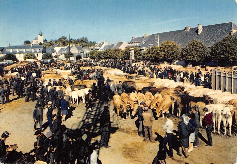 Carte postale ancienne Laguiloe Le Foirail