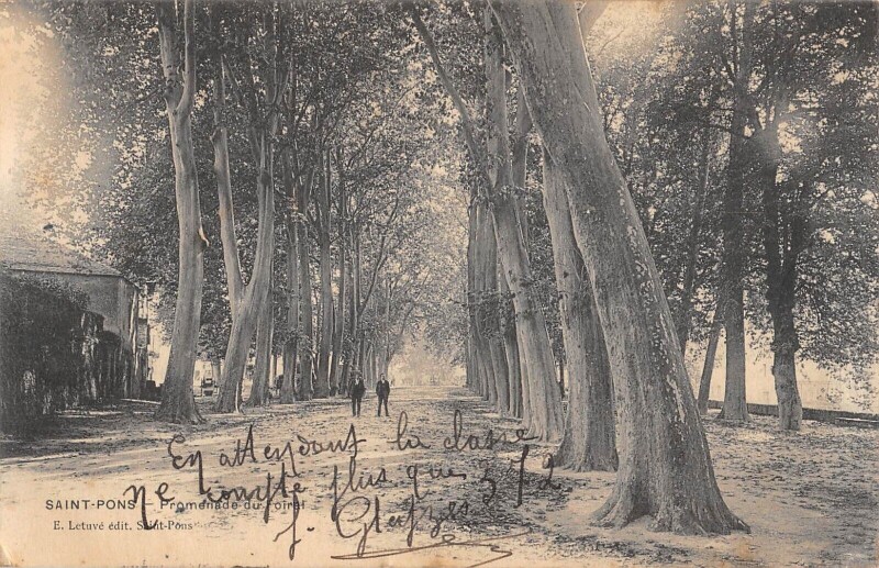 Carte postale ancienne Saint Pons Promenade Du Foiral