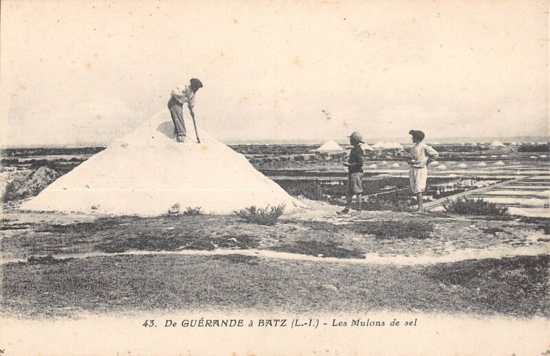 Carte postale ancienne De Guerande A Batz Les Mulons De Sel