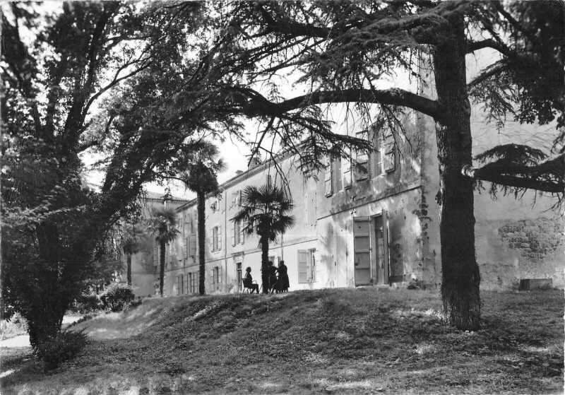 Carte postale ancienne Le Saumon Devant Le Chateau