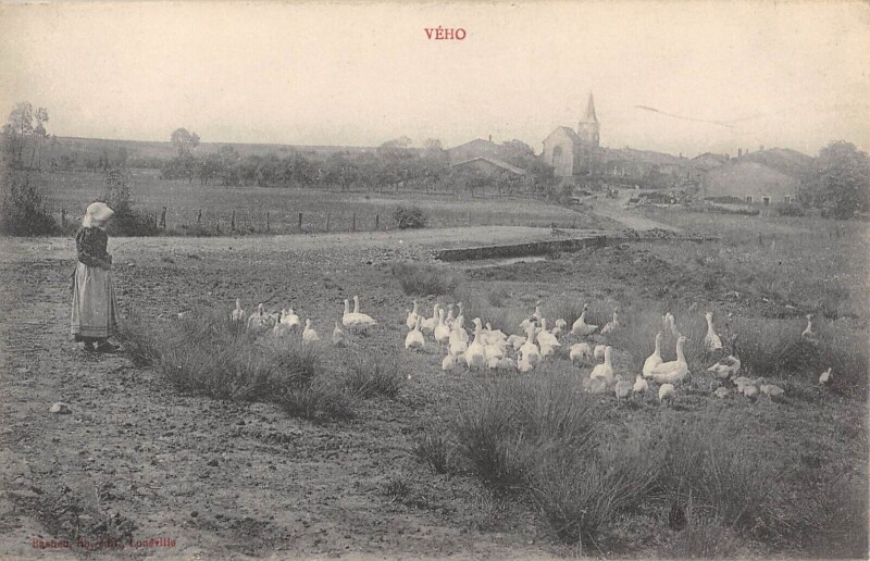 Carte postale ancienne Veho