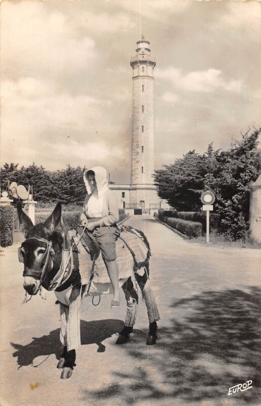 Carte postale ancienne Ile De Re L'Ane En Culotte Rethaise