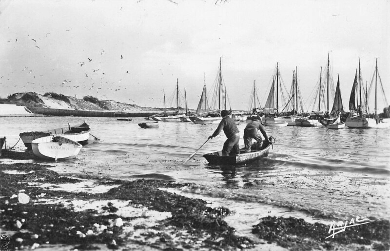 Carte postale ancienne Ile D'Oleron La Cotiniere Le Port